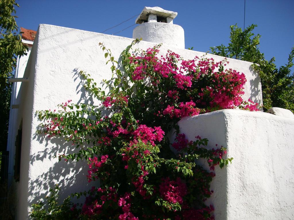 Patriko Country House Vóroi Dış mekan fotoğraf