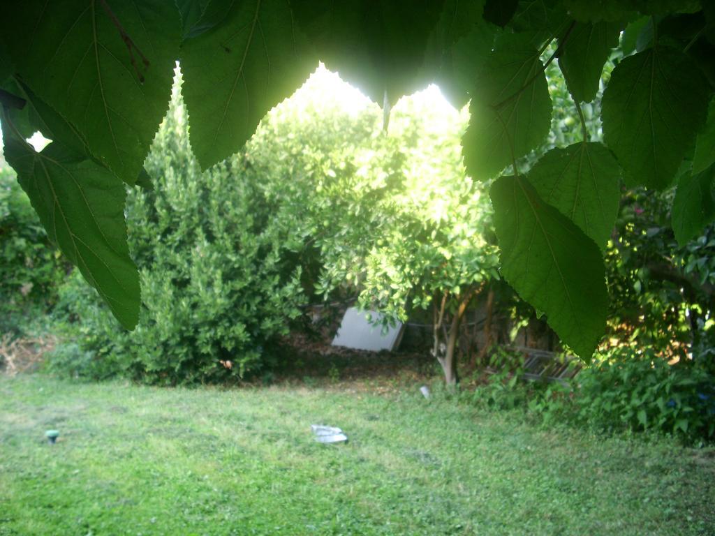 Patriko Country House Vóroi Dış mekan fotoğraf